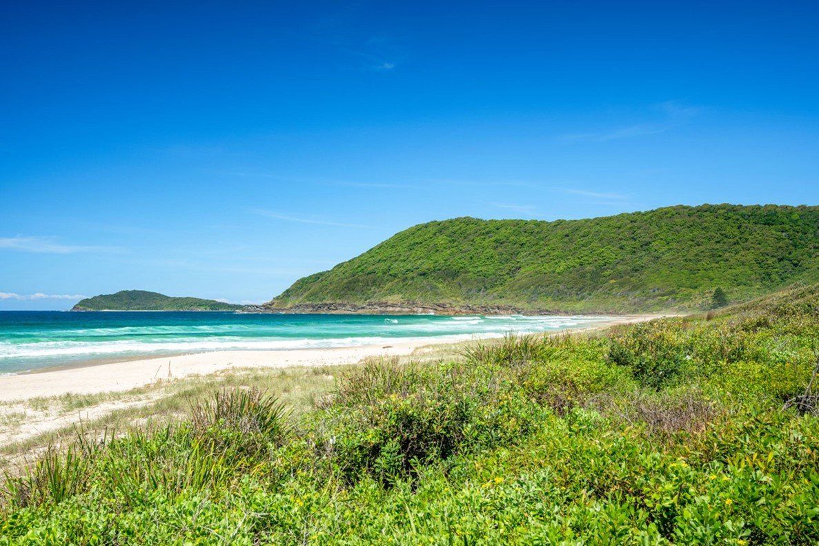 A green headland over a beach at Pacific Palms