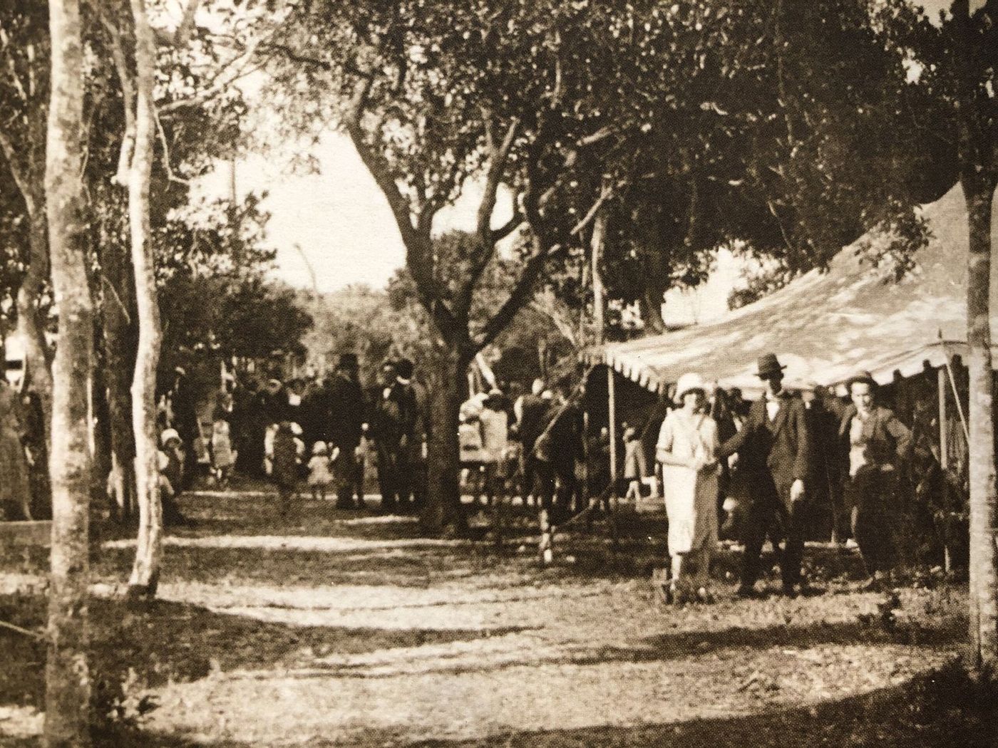 A gathering under the trees beside a marquee, early last century