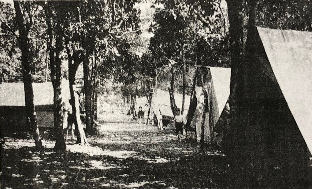 Canvas tents under the trees at the first reunion camp, 1923