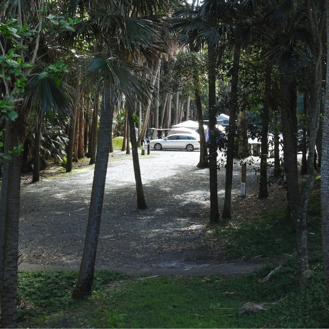 Powered sites along the lakeside road