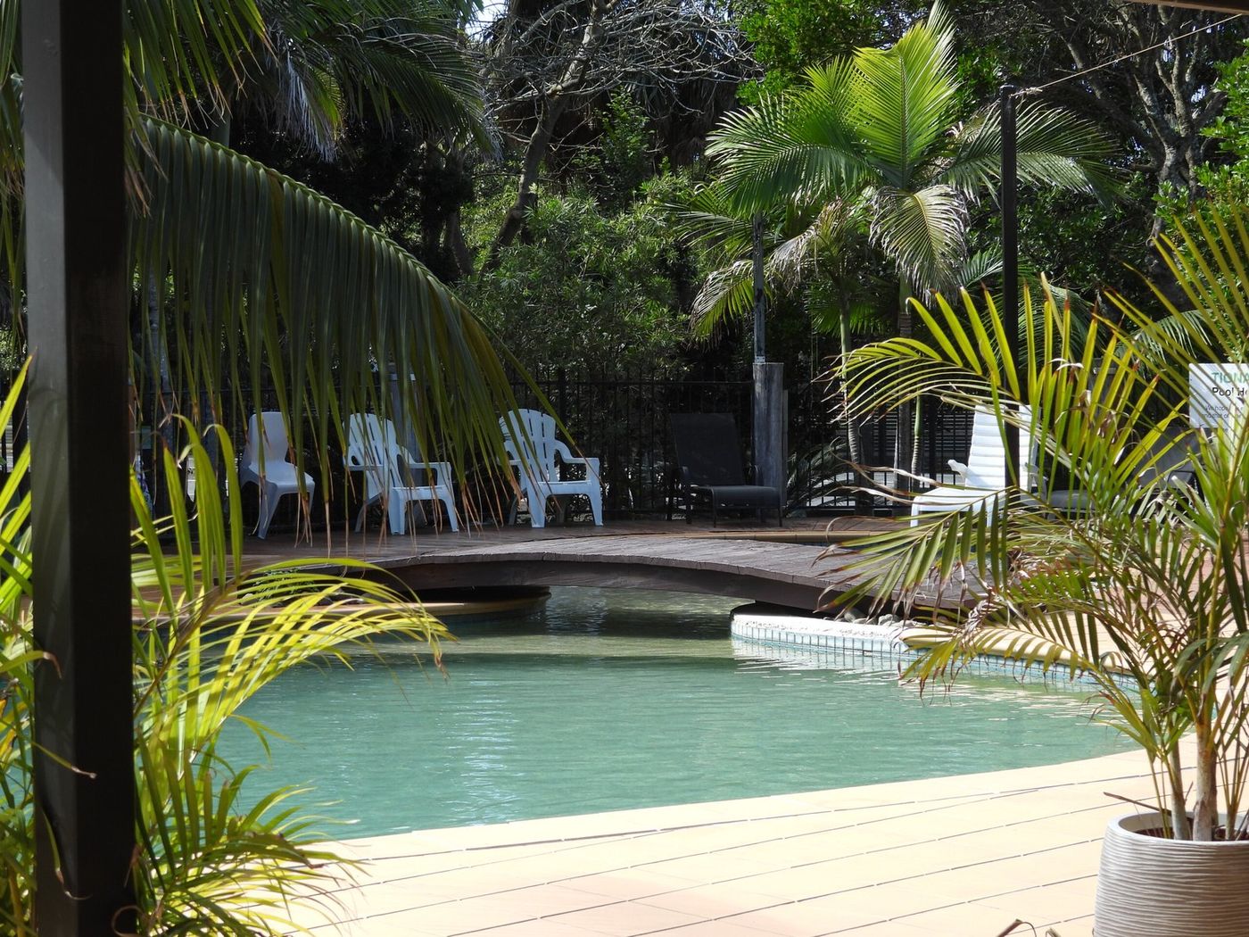 The park pool ringed by palms, with a timber bridge over the shallow end