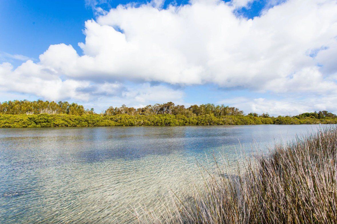 Wallis Lake under big clouds, looking towards Forster